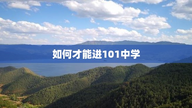 如何才能进101中学