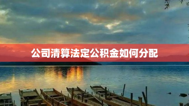 公司清算法定公积金如何分配