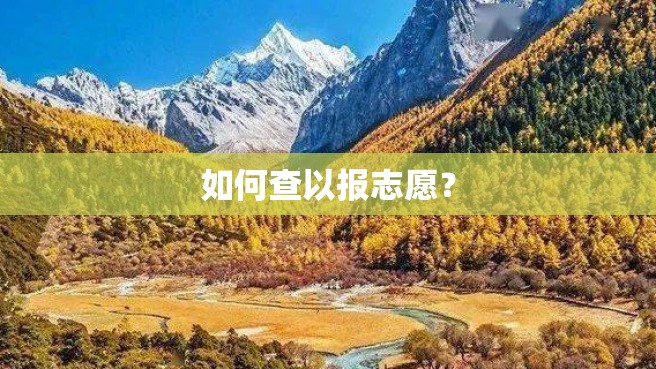 如何查以报志愿？