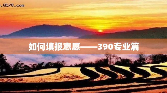 如何填报志愿——390专业篇