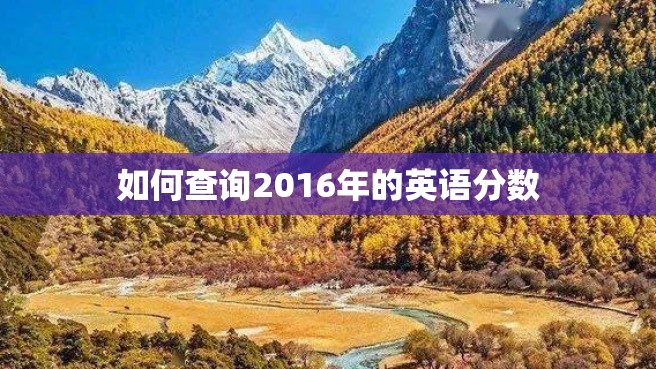 如何查询2016年的英语分数