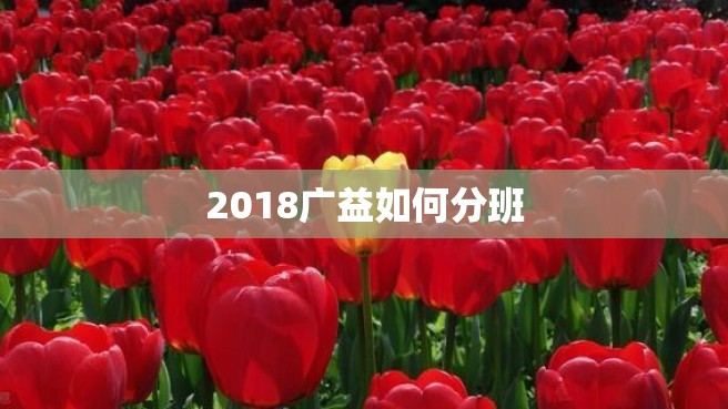 2018广益如何分班