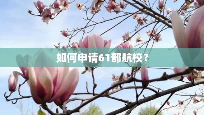 如何申请61部航校？