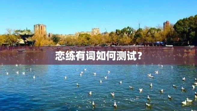 恋练有词如何测试？