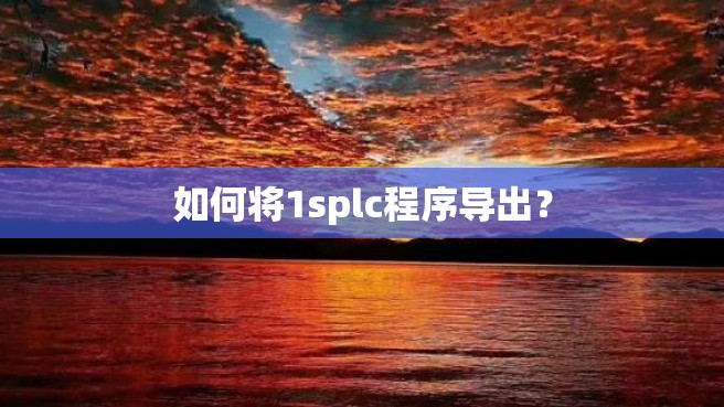 如何将1splc程序导出？