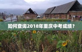 如何查询2018年重庆中考成绩？