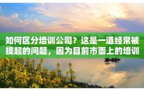 如何区分培训公司？这是一道经常被提起的问题，因为目前市面上的培训公司数量非常庞大，而且很难判断这些公司是否真正具有实力和可靠性。在此我们提供了以下几点建议。