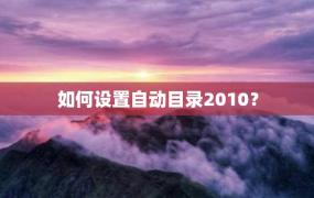 如何设置自动目录2010？