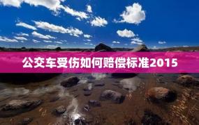 公交车受伤如何赔偿标准2015