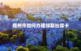 梧州市如何办理领取社保卡