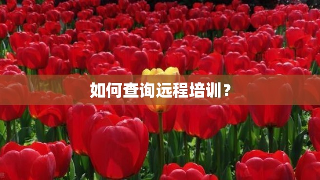 如何查询远程培训？