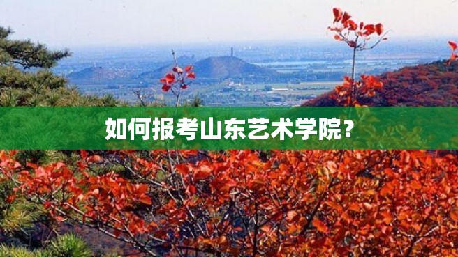 如何报考山东艺术学院？