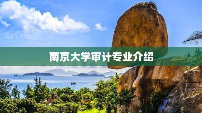 南京大学审计专业介绍