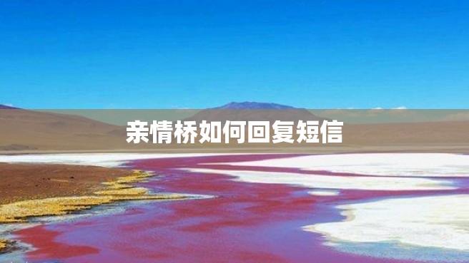 亲情桥如何回复短信