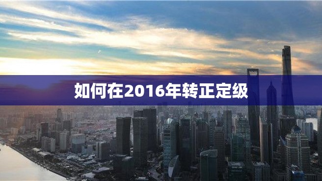 如何在2016年转正定级