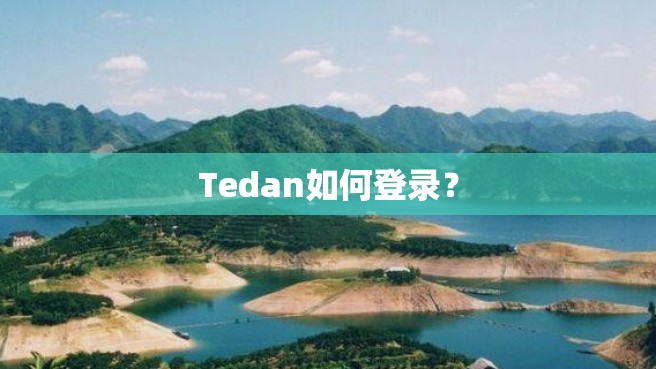 Tedan如何登录？