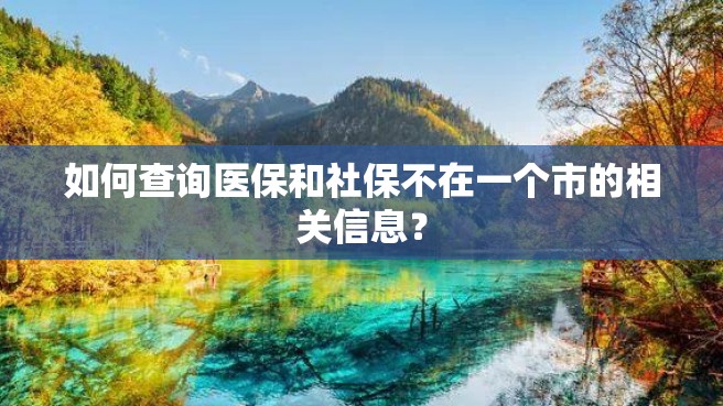 如何查询医保和社保不在一个市的相关信息？