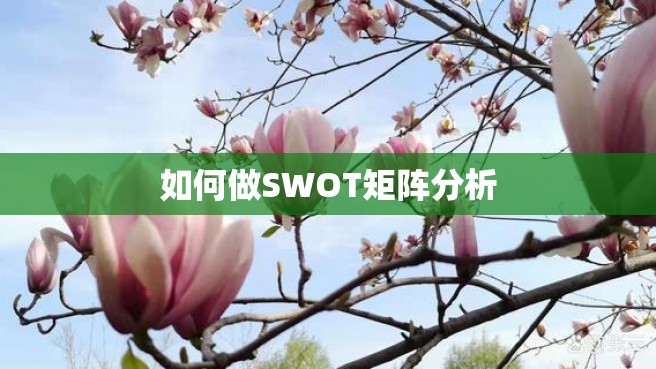 如何做SWOT矩阵分析