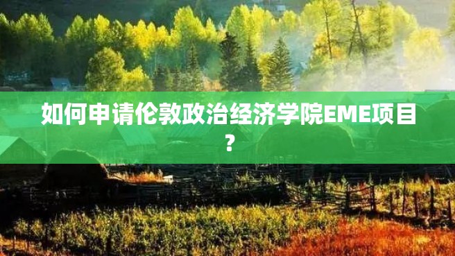 如何申请伦敦政治经济学院EME项目？