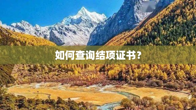 如何查询结项证书？