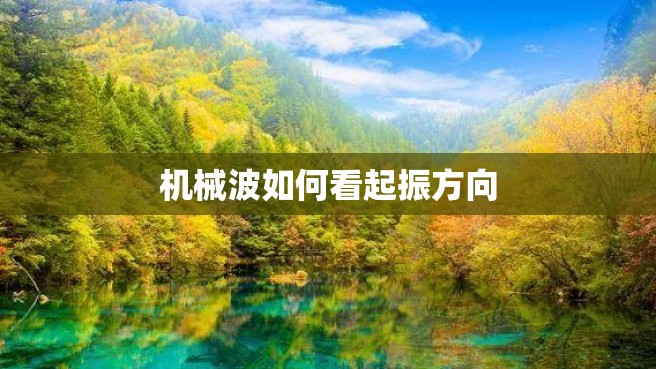 机械波如何看起振方向