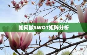 如何做SWOT矩阵分析