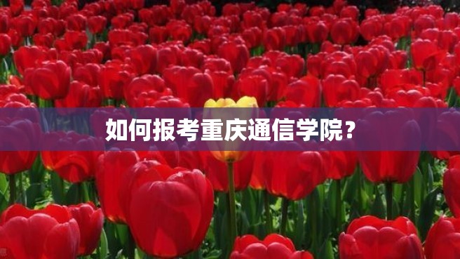 如何报考重庆通信学院？