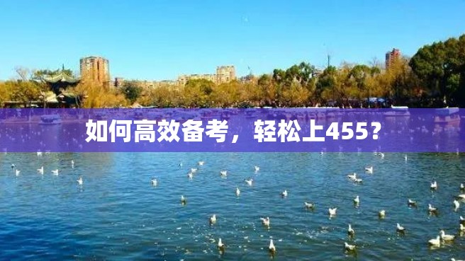 如何高效备考，轻松上455？