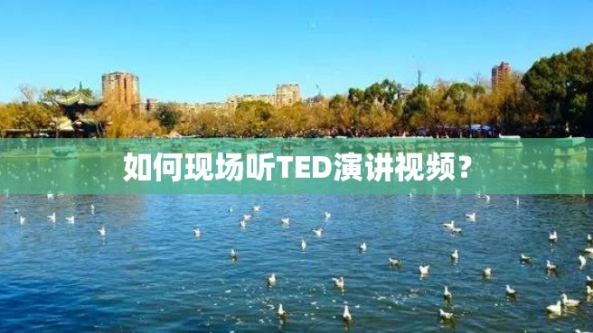 如何现场听TED演讲视频？