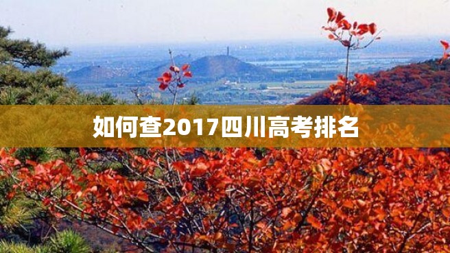 如何查2017四川高考排名