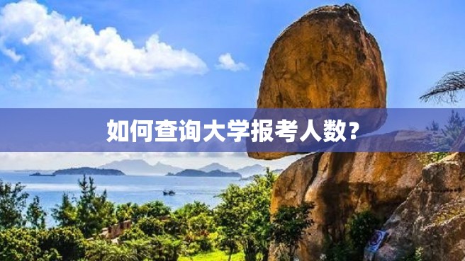 如何查询大学报考人数？