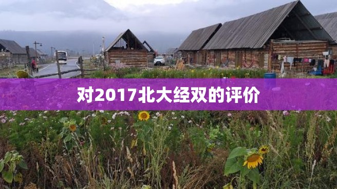 对2017北大经双的评价