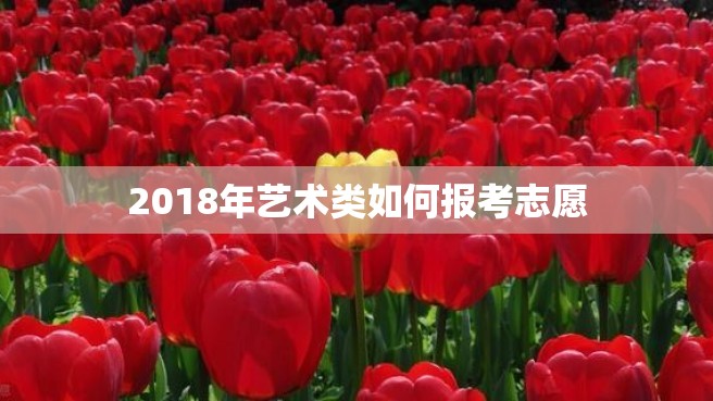 2018年艺术类如何报考志愿