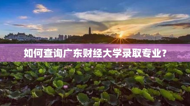 如何查询广东财经大学录取专业？