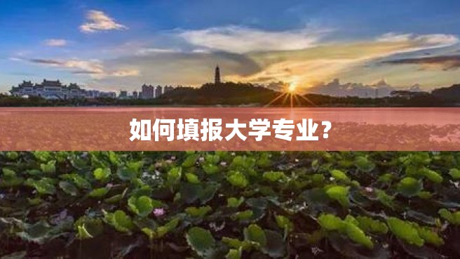 如何填报大学专业？