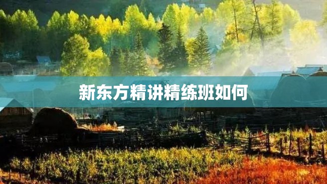 新东方精讲精练班如何