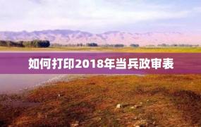 如何打印2018年当兵政审表