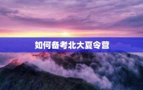 如何备考北大夏令营