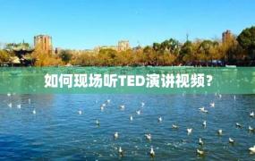 如何现场听TED演讲视频？