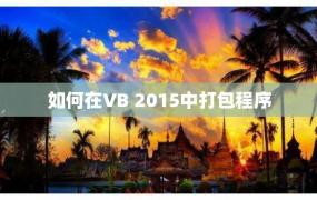 如何在VB 2015中打包程序