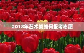 2018年艺术类如何报考志愿