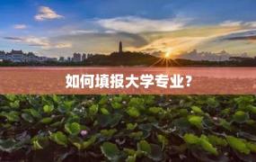 如何填报大学专业？