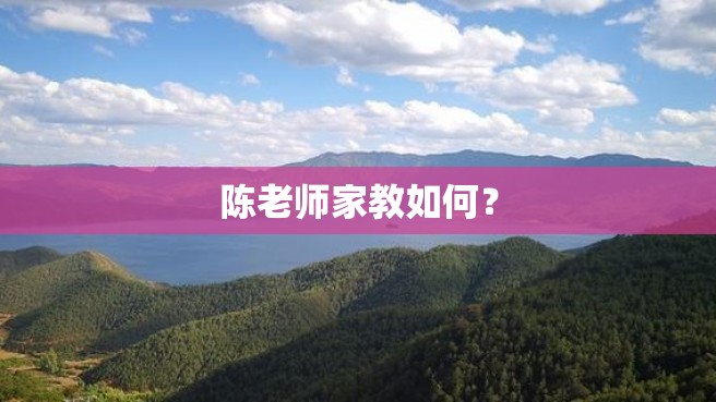 陈老师家教如何？