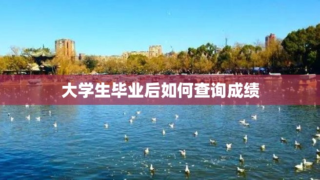 大学生毕业后如何查询成绩