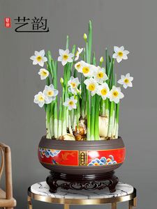 水仙花怎么养才开花