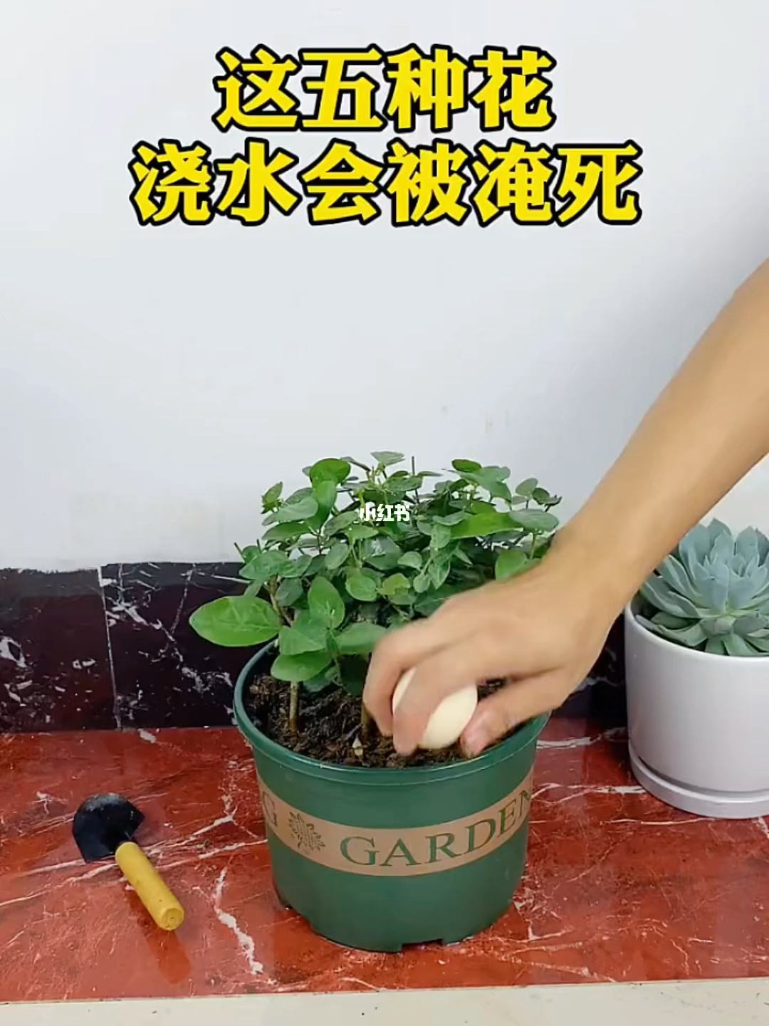 您家的花需要浇水了吗