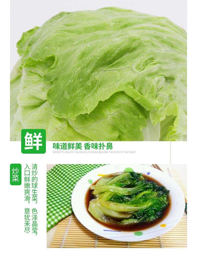 生菜球和生菜的区别