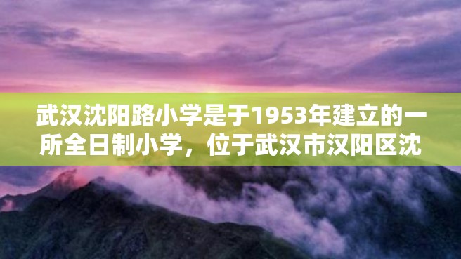 武汉沈阳路小学是于1953年建立的一所全日制小学，位于武汉市汉阳区沈阳路街道。此校是汉阳区教育局明星校、绿色文明校园、学科特色校，拥有先进的教育教学设备和整洁的校园环境。