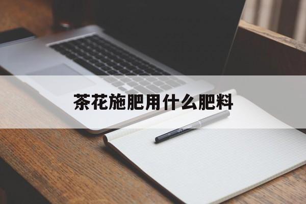 茶花施肥用什么肥料