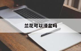 兰花可以浸盆吗